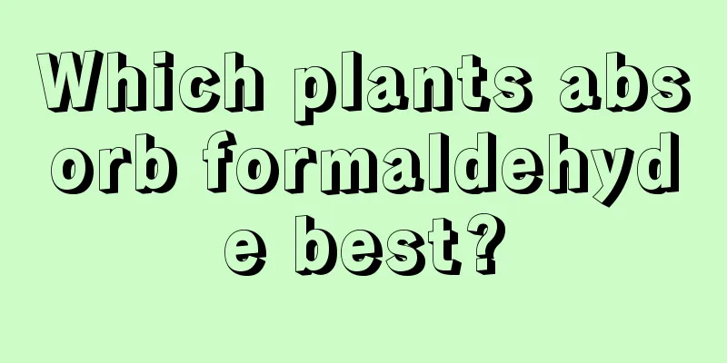 Which plants absorb formaldehyde best?