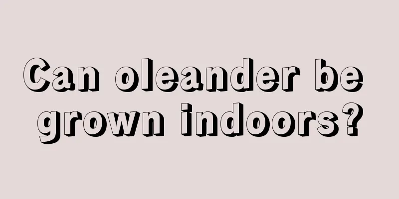 Can oleander be grown indoors?