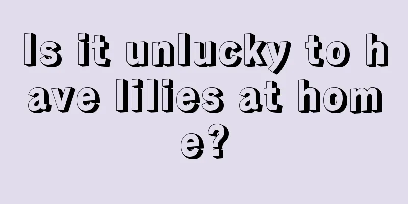 Is it unlucky to have lilies at home?