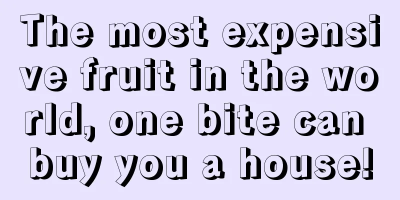 The most expensive fruit in the world, one bite can buy you a house!