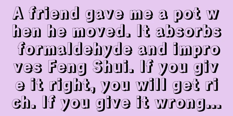A friend gave me a pot when he moved. It absorbs formaldehyde and improves Feng Shui. If you give it right, you will get rich. If you give it wrong...