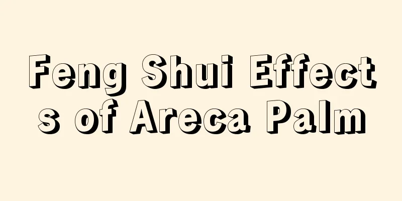 Feng Shui Effects of Areca Palm