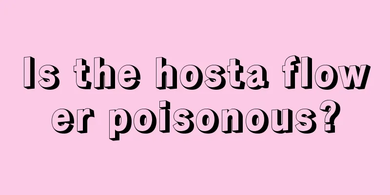 Is the hosta flower poisonous?