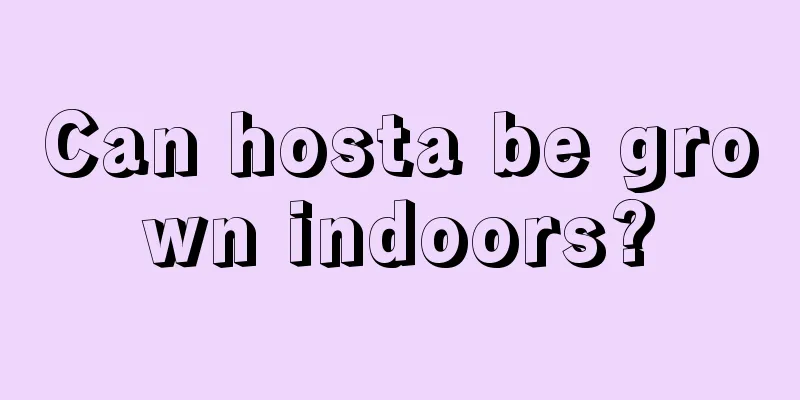 Can hosta be grown indoors?