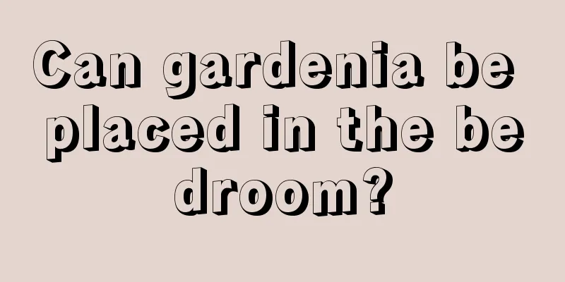 Can gardenia be placed in the bedroom?