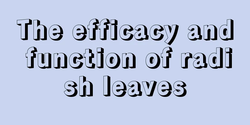 The efficacy and function of radish leaves