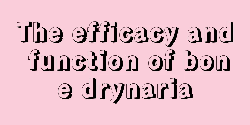 The efficacy and function of bone drynaria