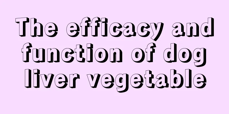 The efficacy and function of dog liver vegetable