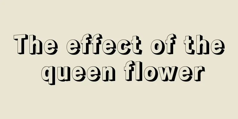 The effect of the queen flower