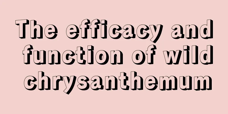 The efficacy and function of wild chrysanthemum