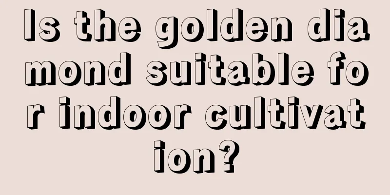 Is the golden diamond suitable for indoor cultivation?