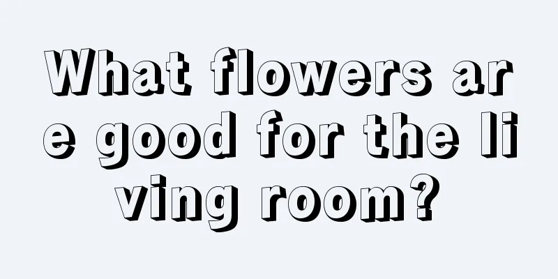 What flowers are good for the living room?