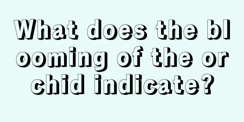 What does the blooming of the orchid indicate?