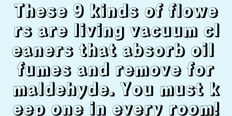 These 9 kinds of flowers are living vacuum cleaners that absorb oil fumes and remove formaldehyde. You must keep one in every room!