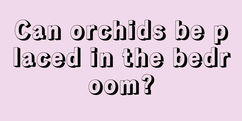 Can orchids be placed in the bedroom?