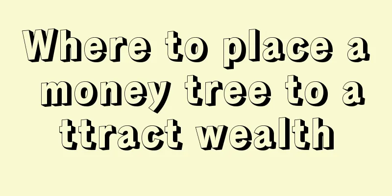 Where to place a money tree to attract wealth