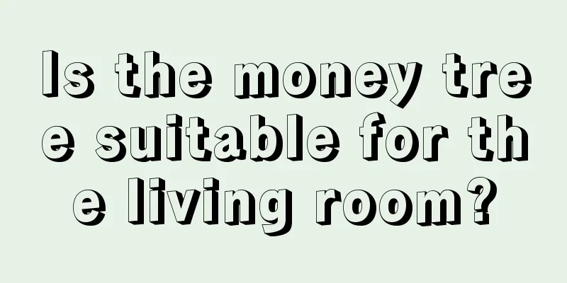 Is the money tree suitable for the living room?