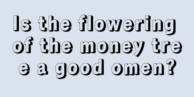 Is the flowering of the money tree a good omen?