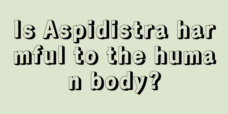 Is Aspidistra harmful to the human body?