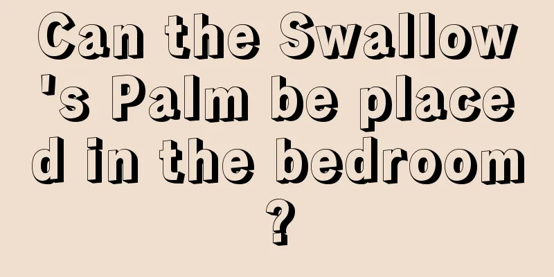 Can the Swallow's Palm be placed in the bedroom?