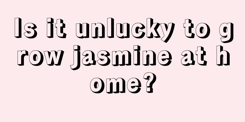 Is it unlucky to grow jasmine at home?