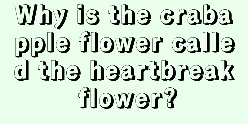 Why is the crabapple flower called the heartbreak flower?