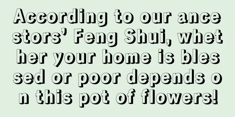 According to our ancestors’ Feng Shui, whether your home is blessed or poor depends on this pot of flowers!