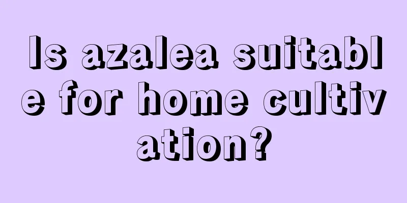 Is azalea suitable for home cultivation?