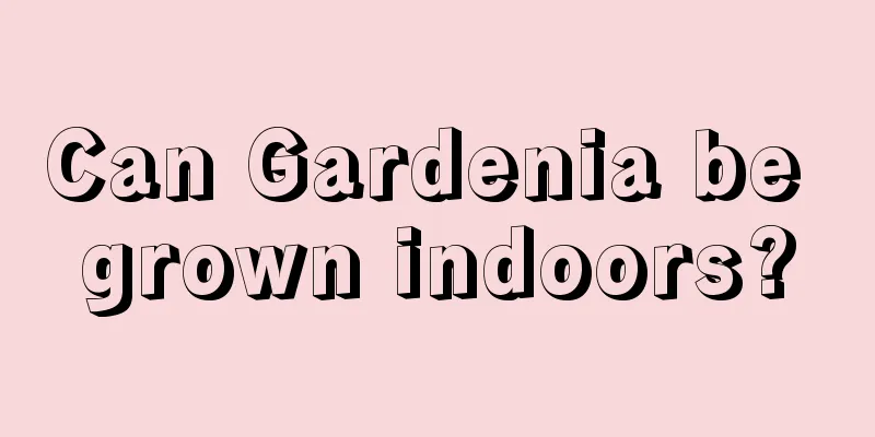 Can Gardenia be grown indoors?