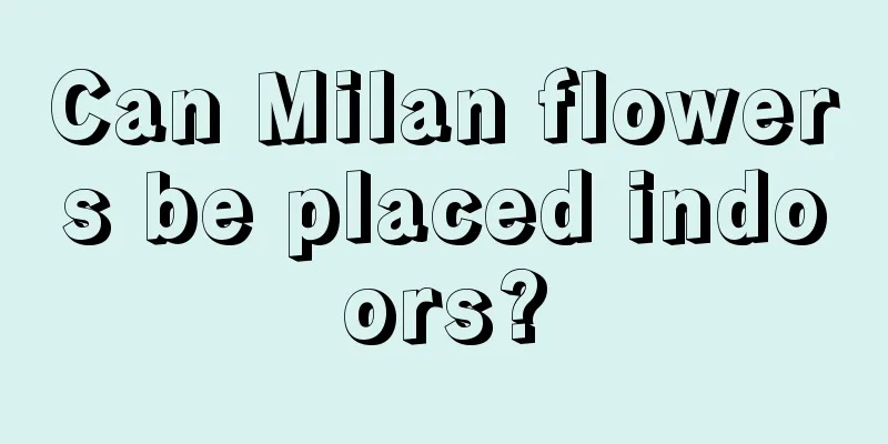 Can Milan flowers be placed indoors?