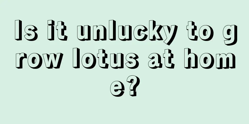 Is it unlucky to grow lotus at home?