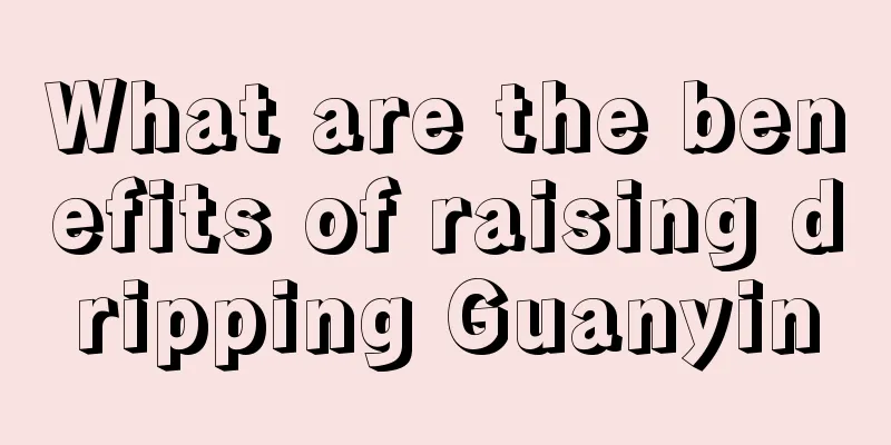 What are the benefits of raising dripping Guanyin