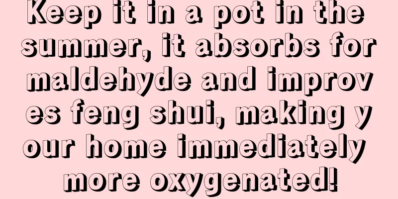 Keep it in a pot in the summer, it absorbs formaldehyde and improves feng shui, making your home immediately more oxygenated!