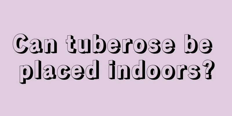 Can tuberose be placed indoors?