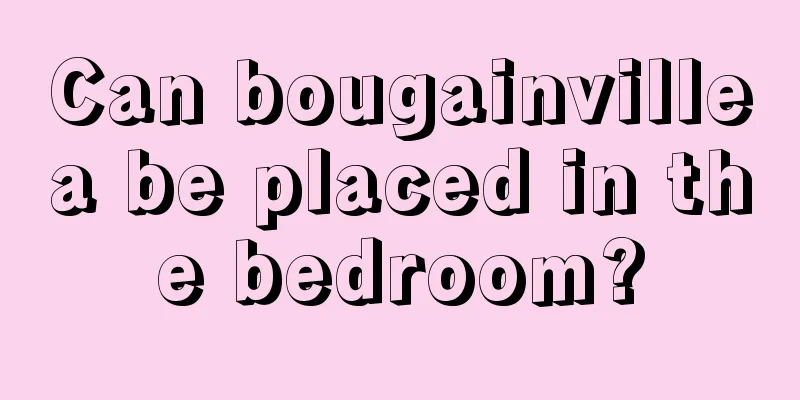 Can bougainvillea be placed in the bedroom?