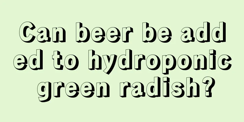 Can beer be added to hydroponic green radish?