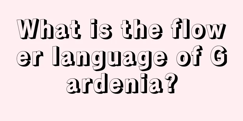 What is the flower language of Gardenia?