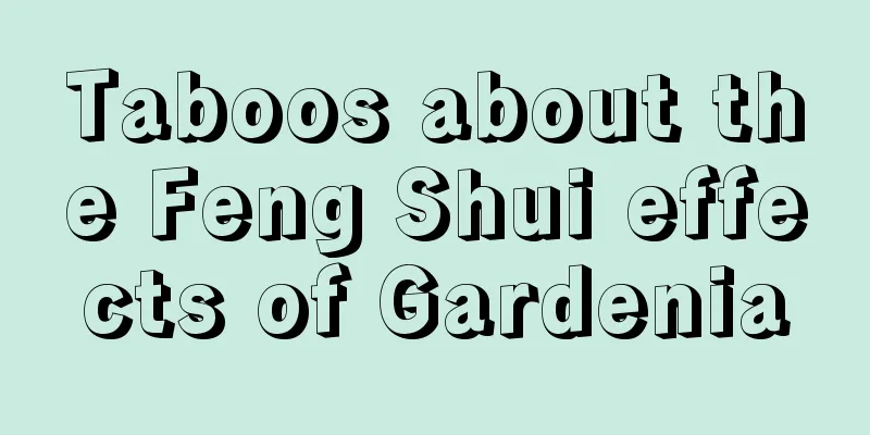 Taboos about the Feng Shui effects of Gardenia