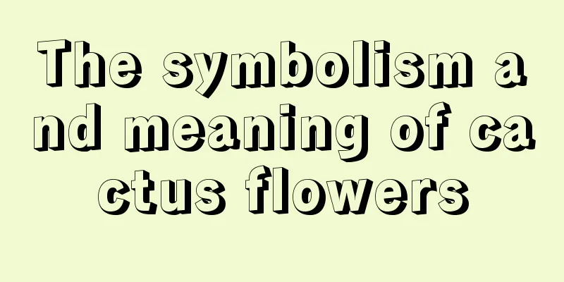 The symbolism and meaning of cactus flowers