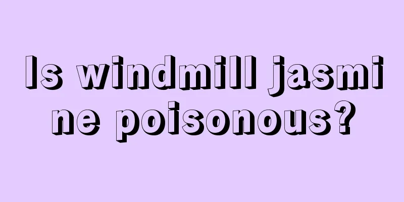 Is windmill jasmine poisonous?