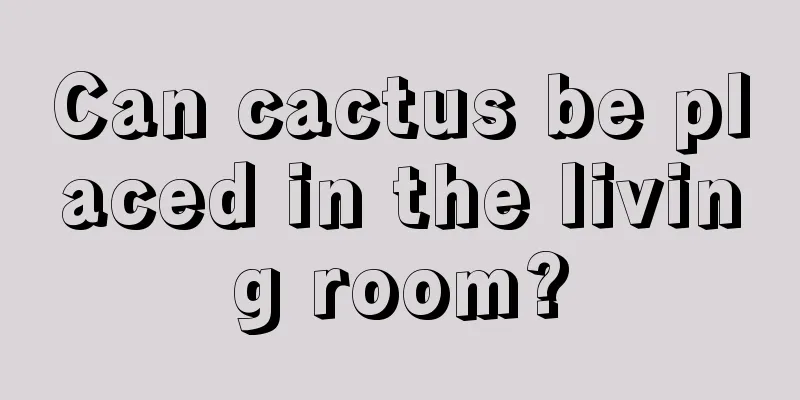 Can cactus be placed in the living room?