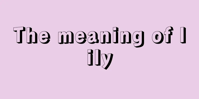 The meaning of lily