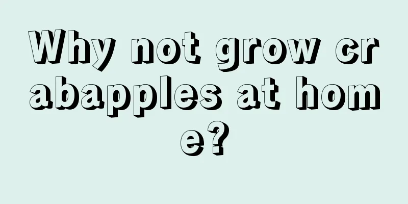 Why not grow crabapples at home?