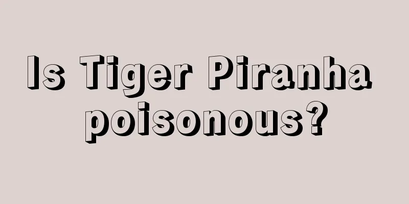 Is Tiger Piranha poisonous?