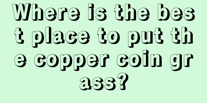 Where is the best place to put the copper coin grass?