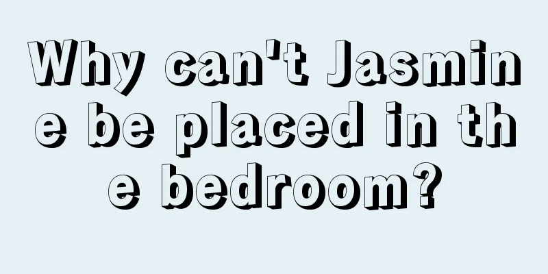 Why can't Jasmine be placed in the bedroom?