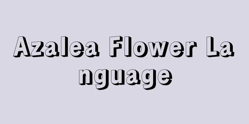 Azalea Flower Language