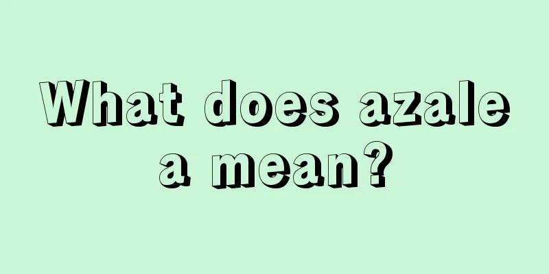 What does azalea mean?