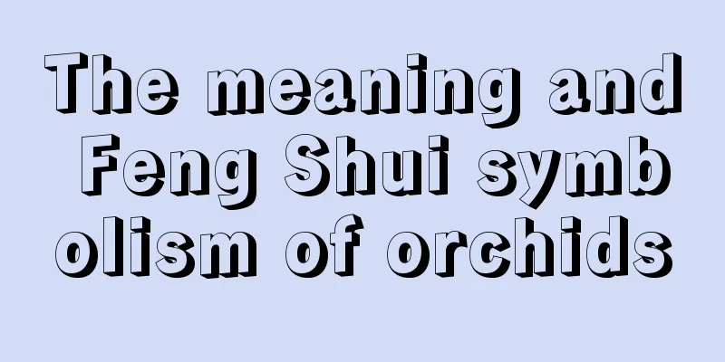 The meaning and Feng Shui symbolism of orchids