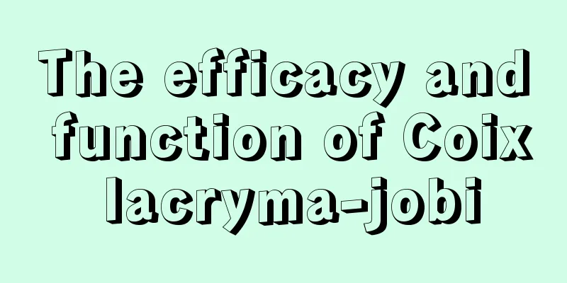 The efficacy and function of Coix lacryma-jobi